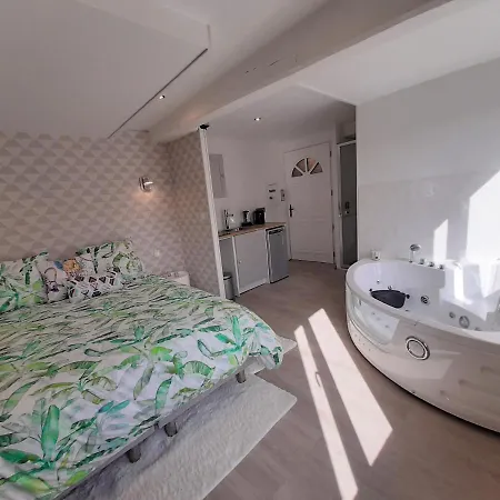 Apartment Orion *
